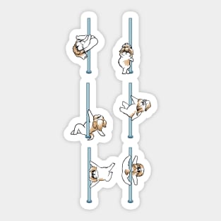 Shih Tzu Pole Dancing Club Sticker